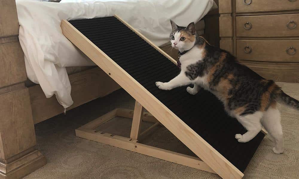 Cat ramp