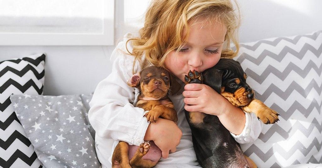 Are dachshunds good with kids?