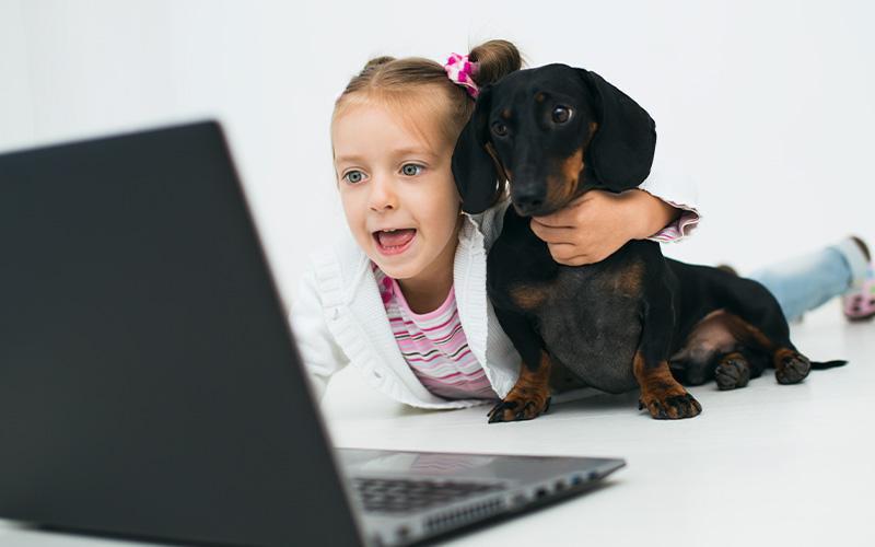 Are dachshunds a good breed for families with children?