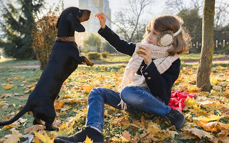 Are dachshunds a good breed for families with children?