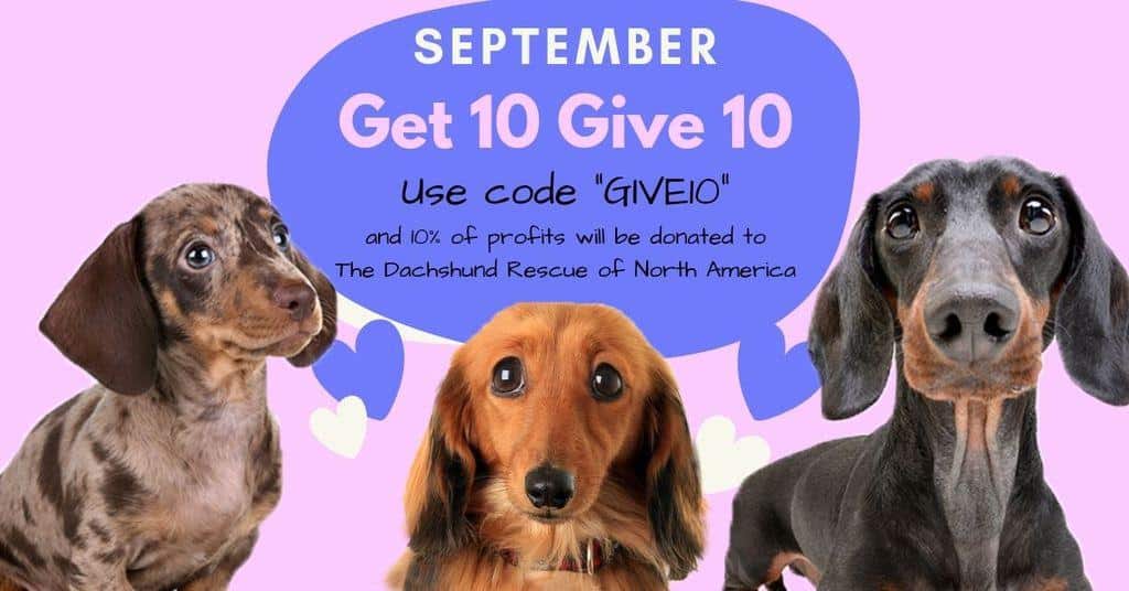 Help a dachshund in need this month