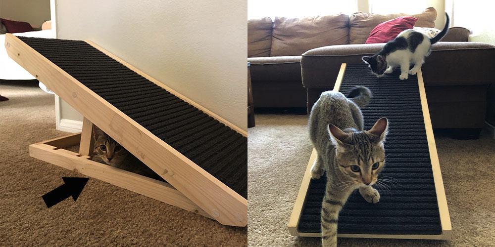 Why cats (and their owners) love the scratchy ramp!