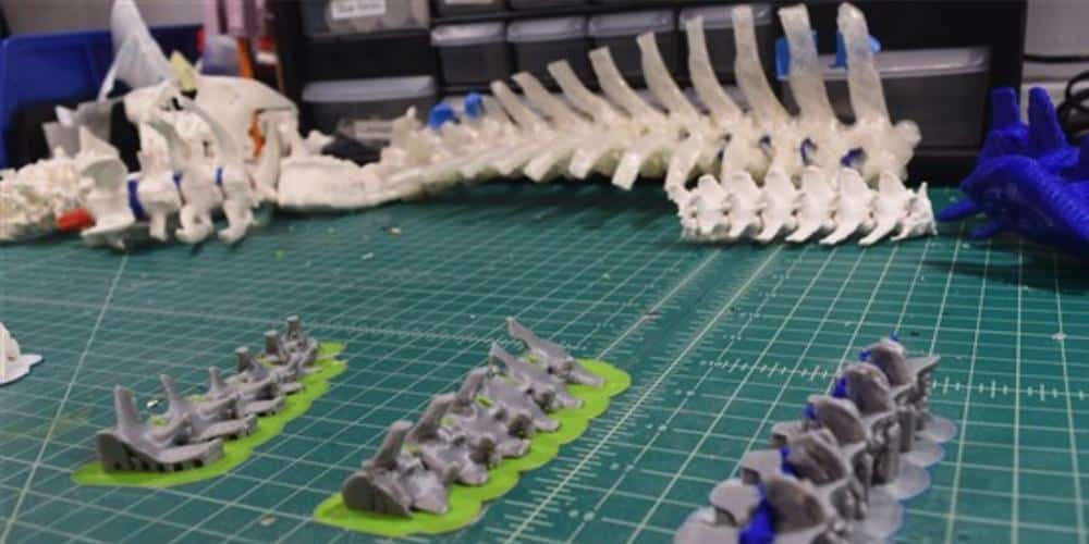 How 3d printing helped a dachshund walk again!