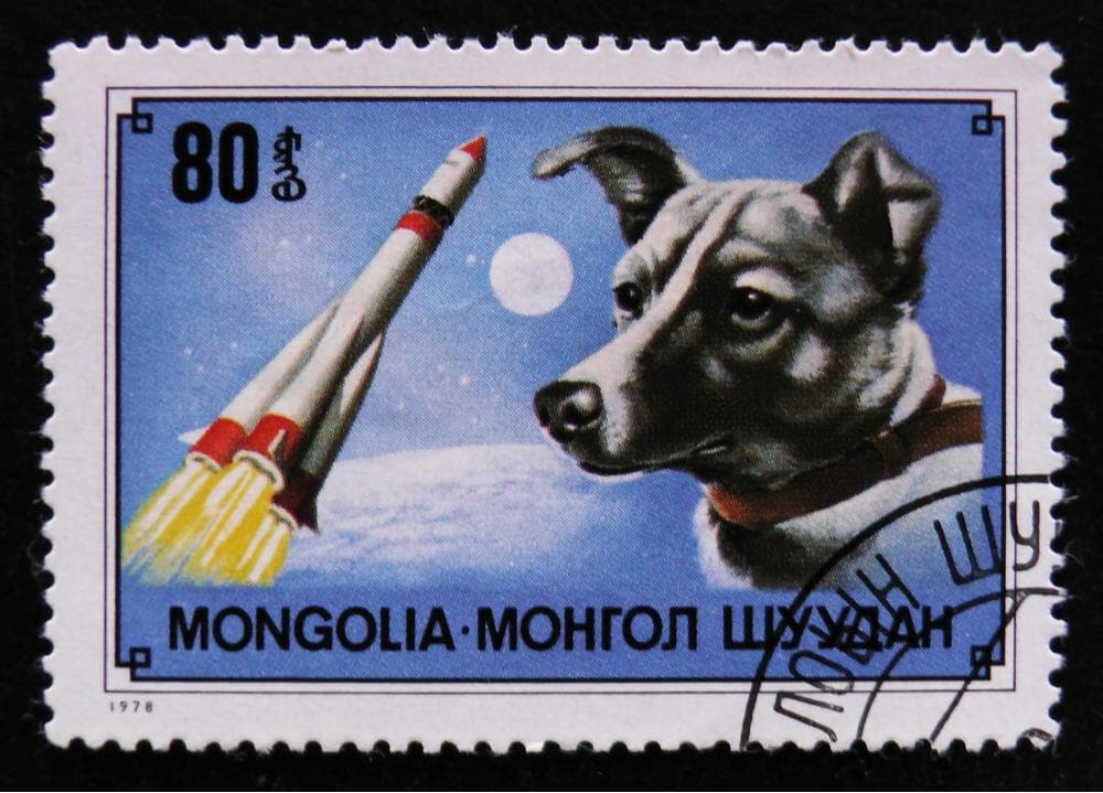 Laika space dog stamp