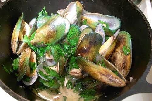 Green lipped mussel