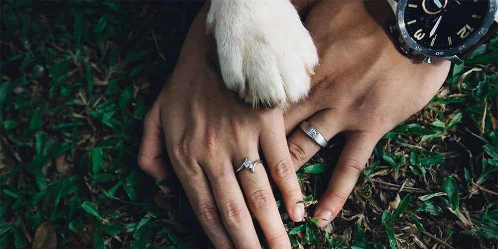 How to feature your dog in your wedding: 3 ideas for the pawfect day!