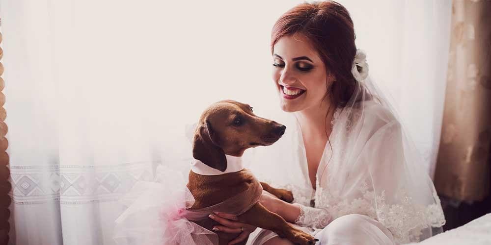 How to feature your doxie in your wedding: 3 ideas for the pawfect day!