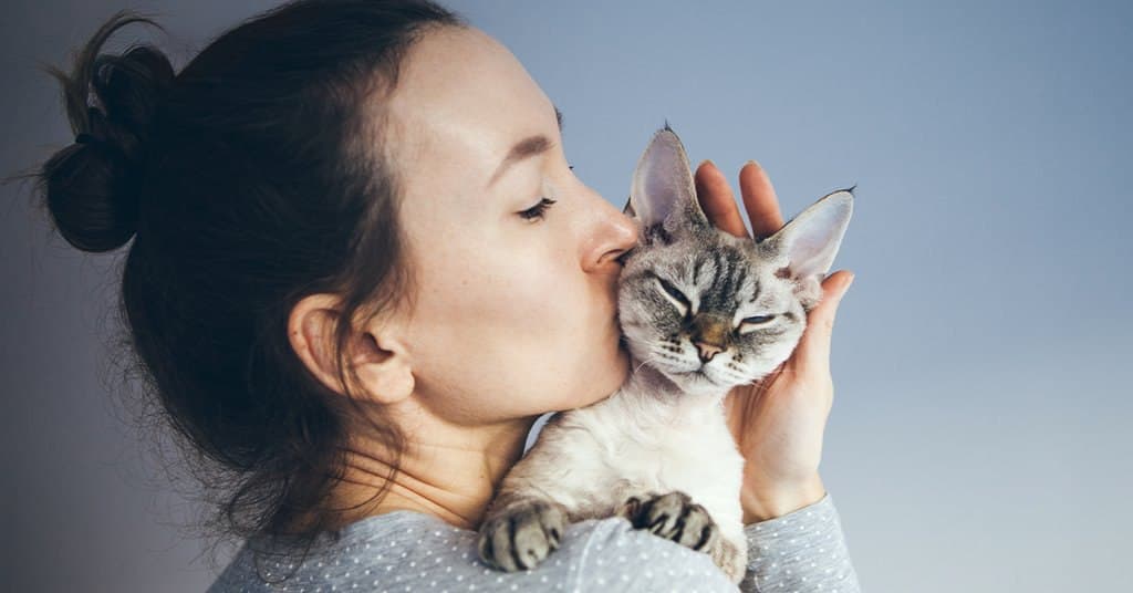5 Reasons Why Cats are the Best Pets