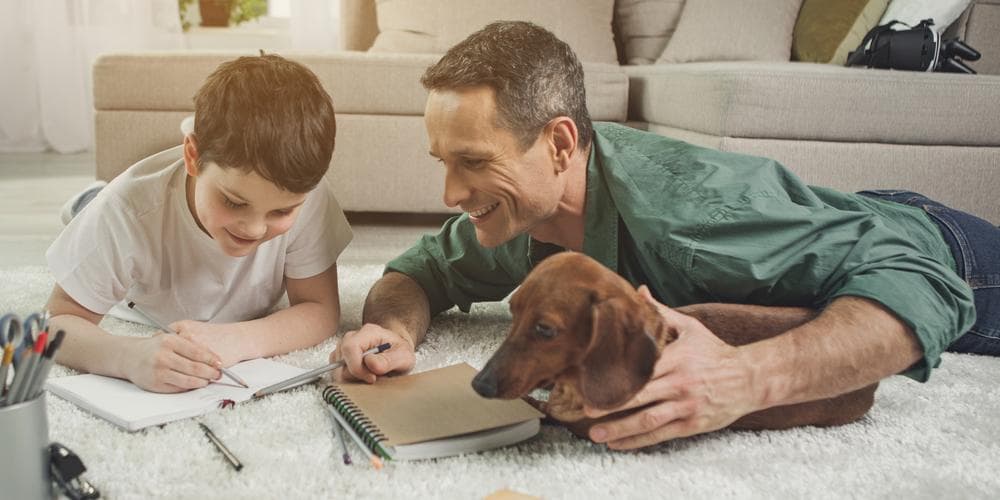 Can Dachshunds Be Service Dogs?