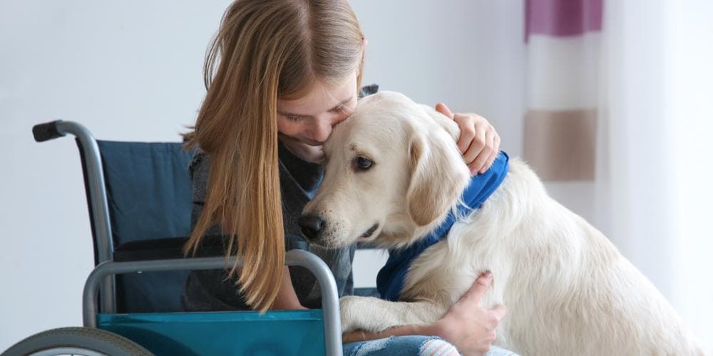 Emotional support vs. Service dog, what is the difference?