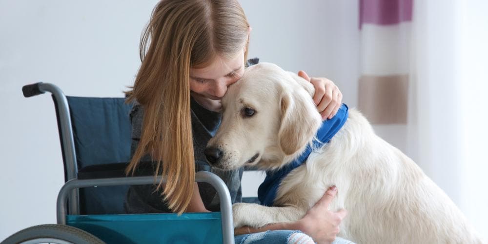 Emotional Support vs. Service dog, what Is The Difference?