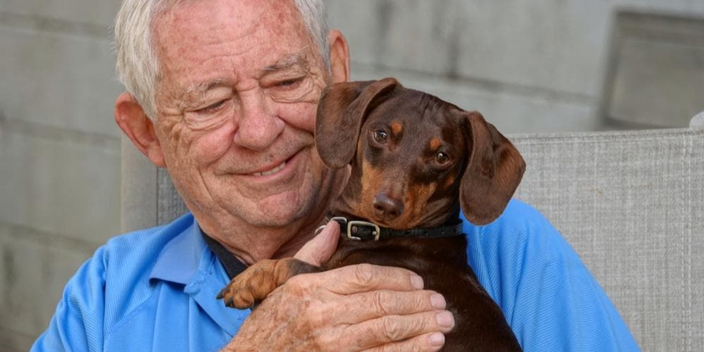 Old man holding a dachshund for the article how to take special care of your senior doxie