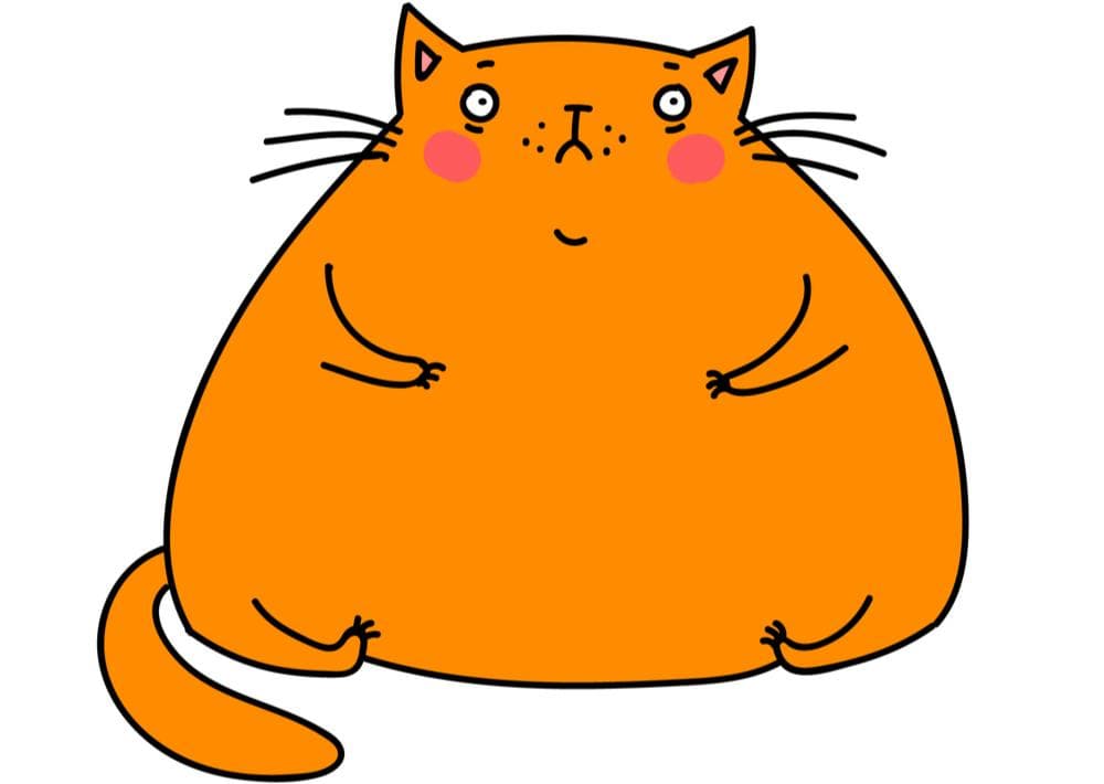 Cat obesity is deadly, but you can change that
