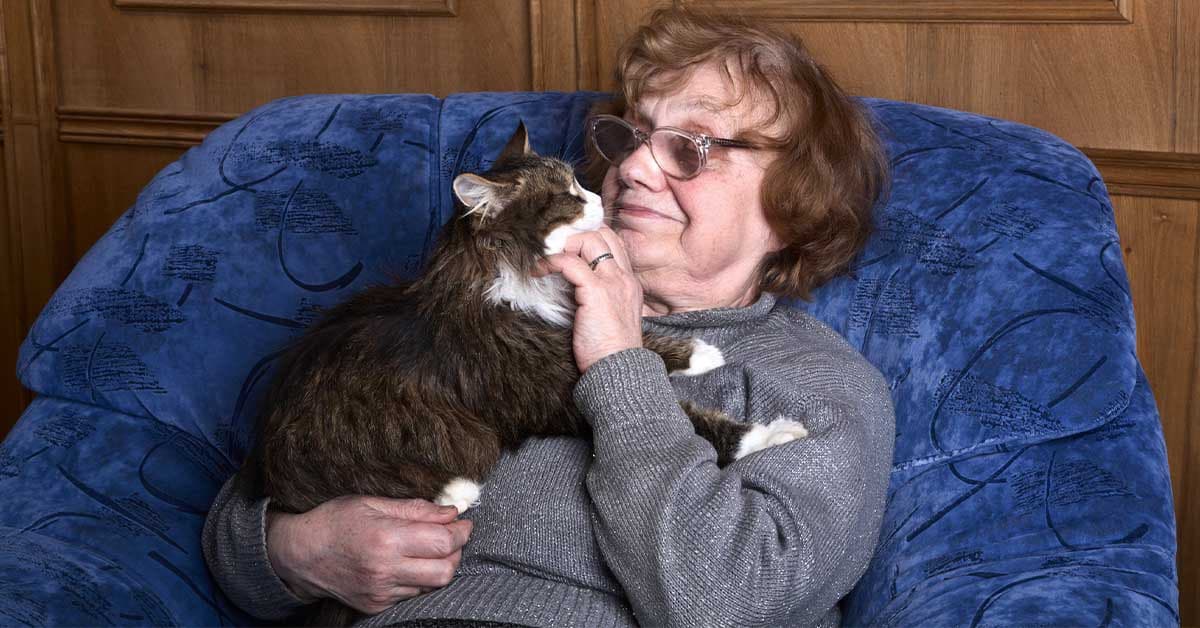 Why Therapy Cats are just as Effective as Therapy Dogs