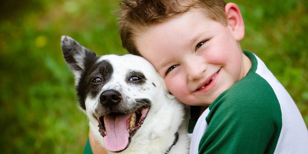 What dog breeds do better with kids?