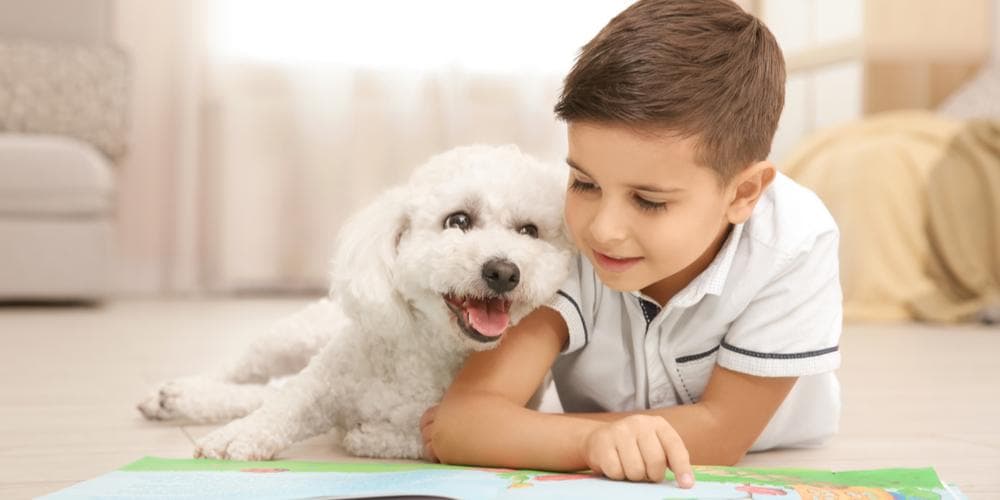 What dog breeds do better with kids?