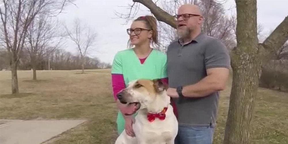 Longest resident at kansas shelter finally gets adopted