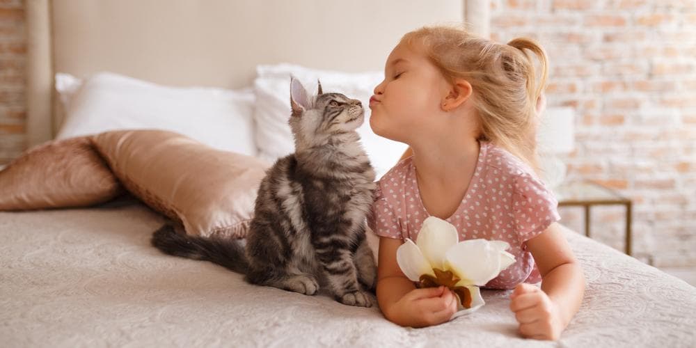 How to love your cat even more