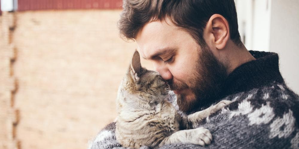 How to love your cat even more