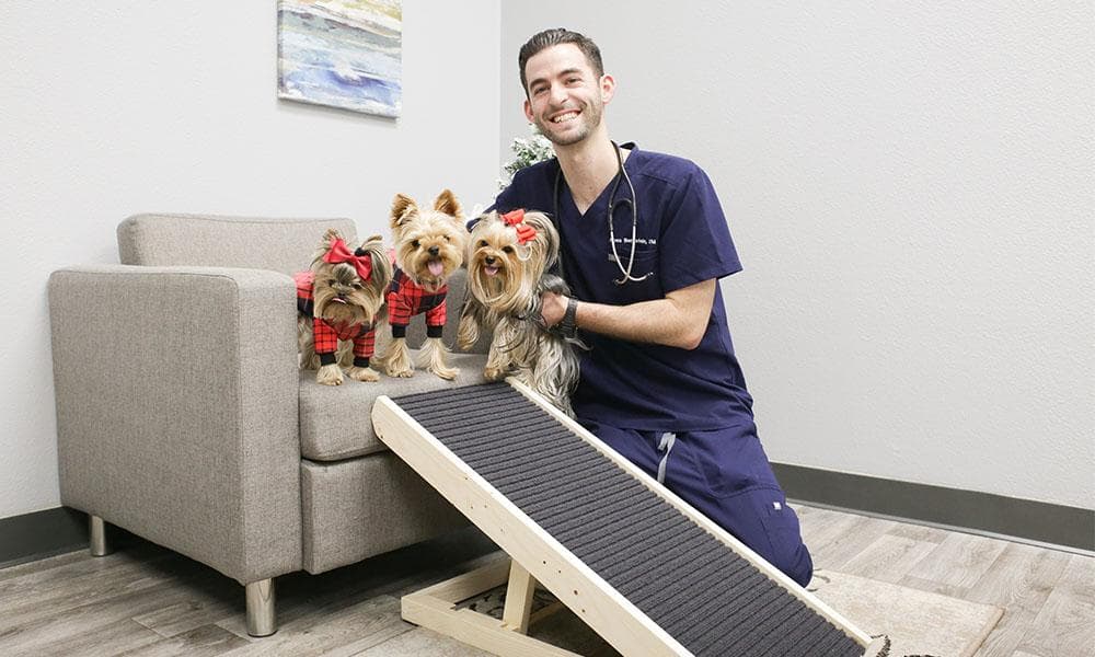 Dr. Ross with the Dog Ramp