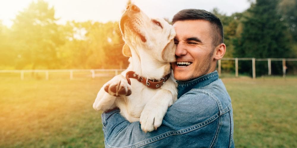 How do dogs show their love and affection?