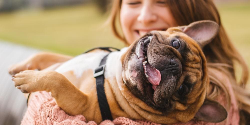 How do dogs show their love and affection?