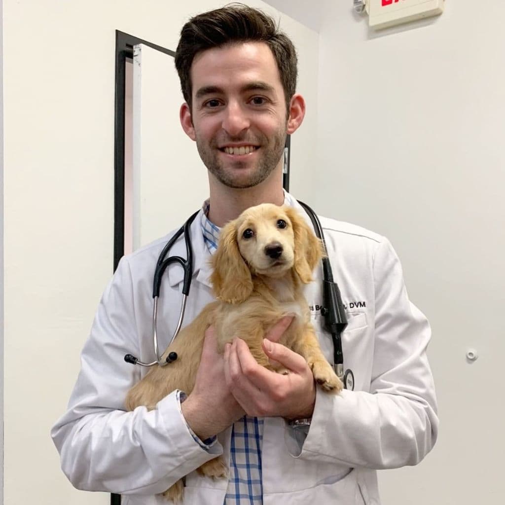 Dr. Vet rozay with dachshund puppy