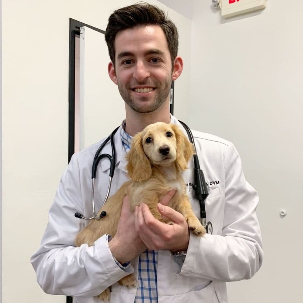 Dr. Vet Rozay with Dachshund Puppy