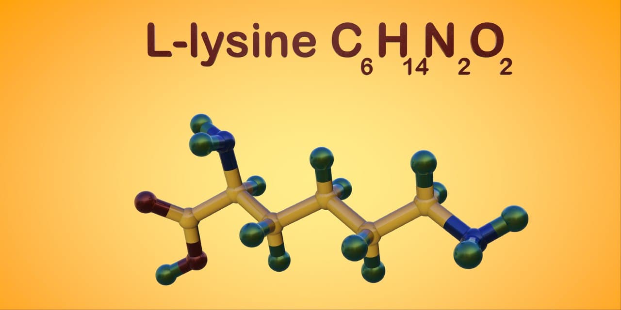 The benefits of lysine for cats