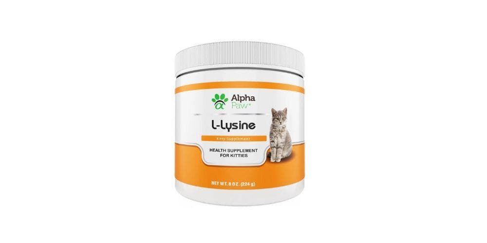 The benefits of lysine for cats