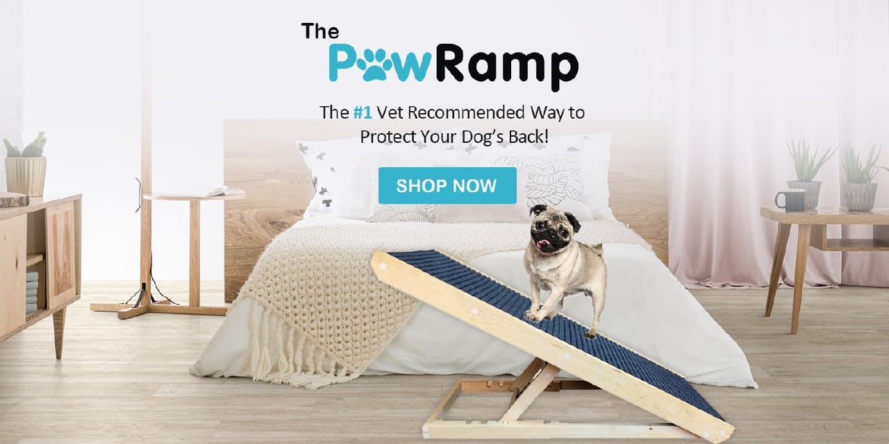 Dog ramp