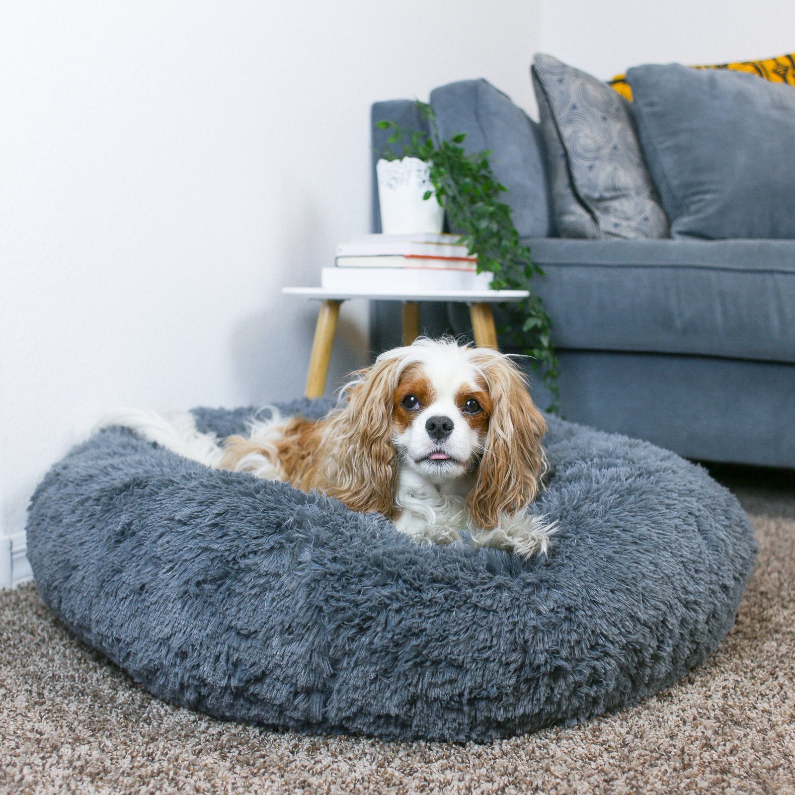 comfy calming dog bed canada