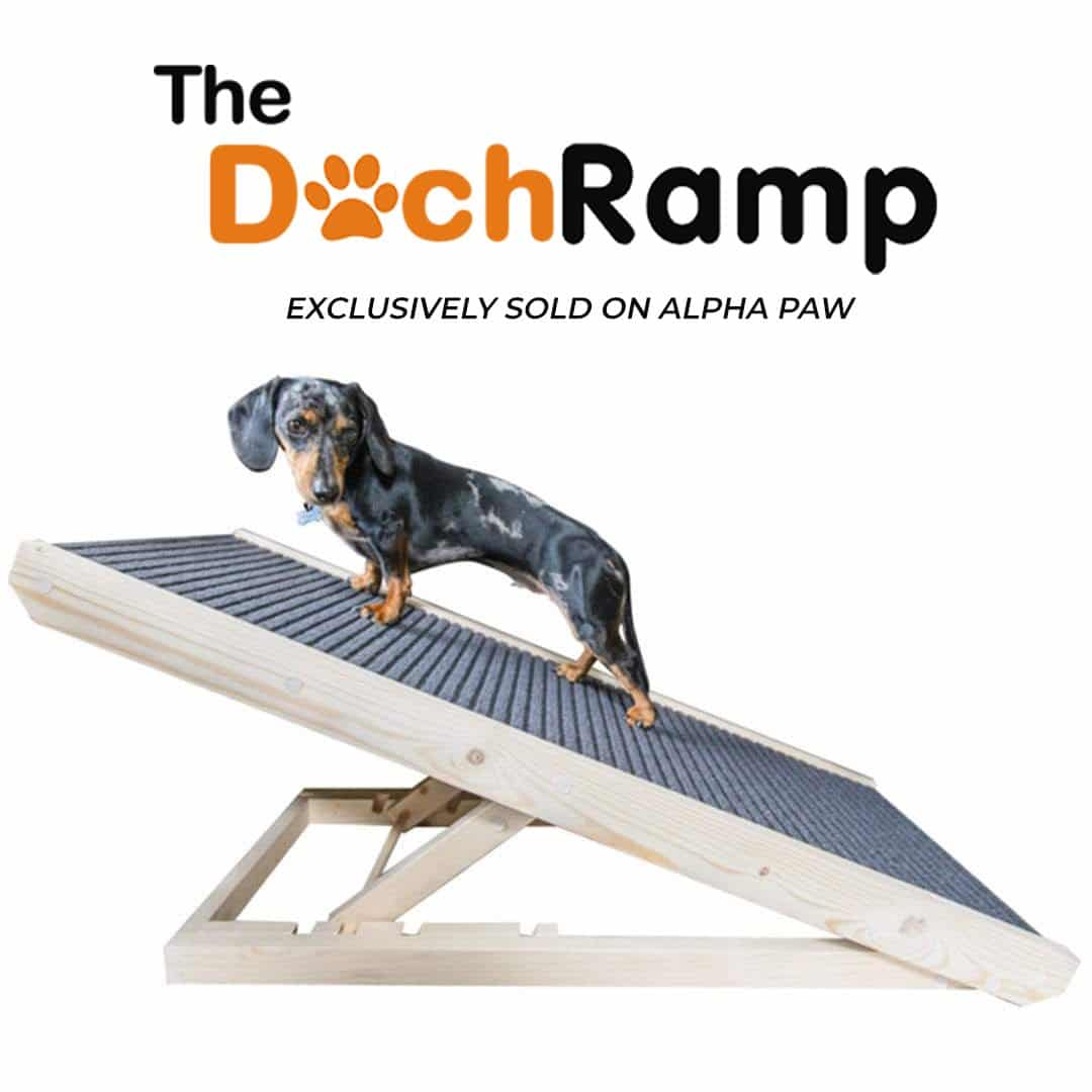 doggo ramp cost