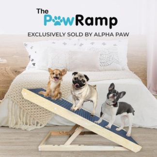 The PawRamp™ | Alpha Paw