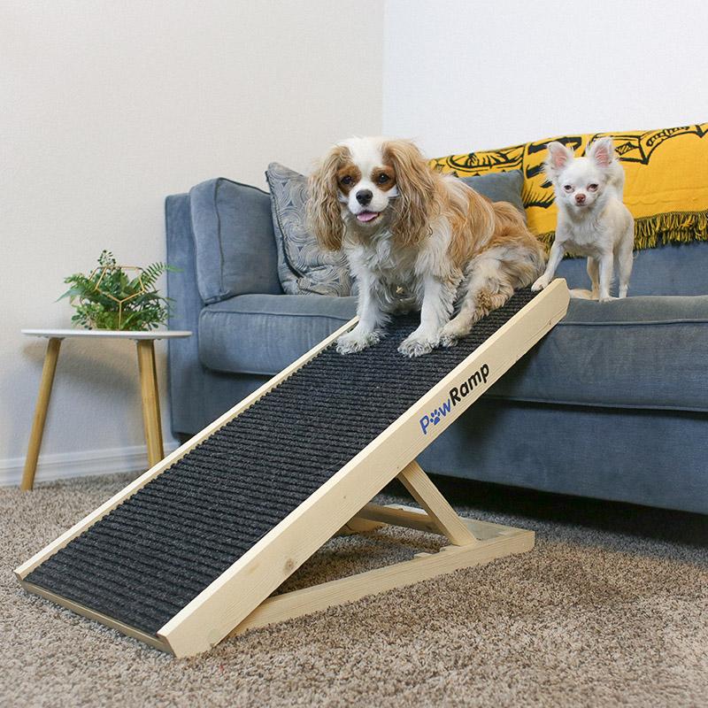 doggo ramp cost