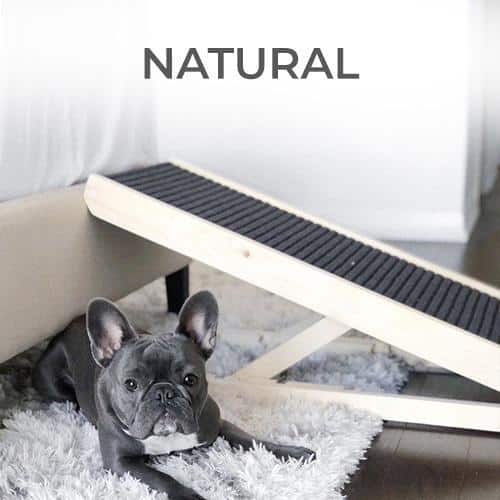 private breeder puppies near me