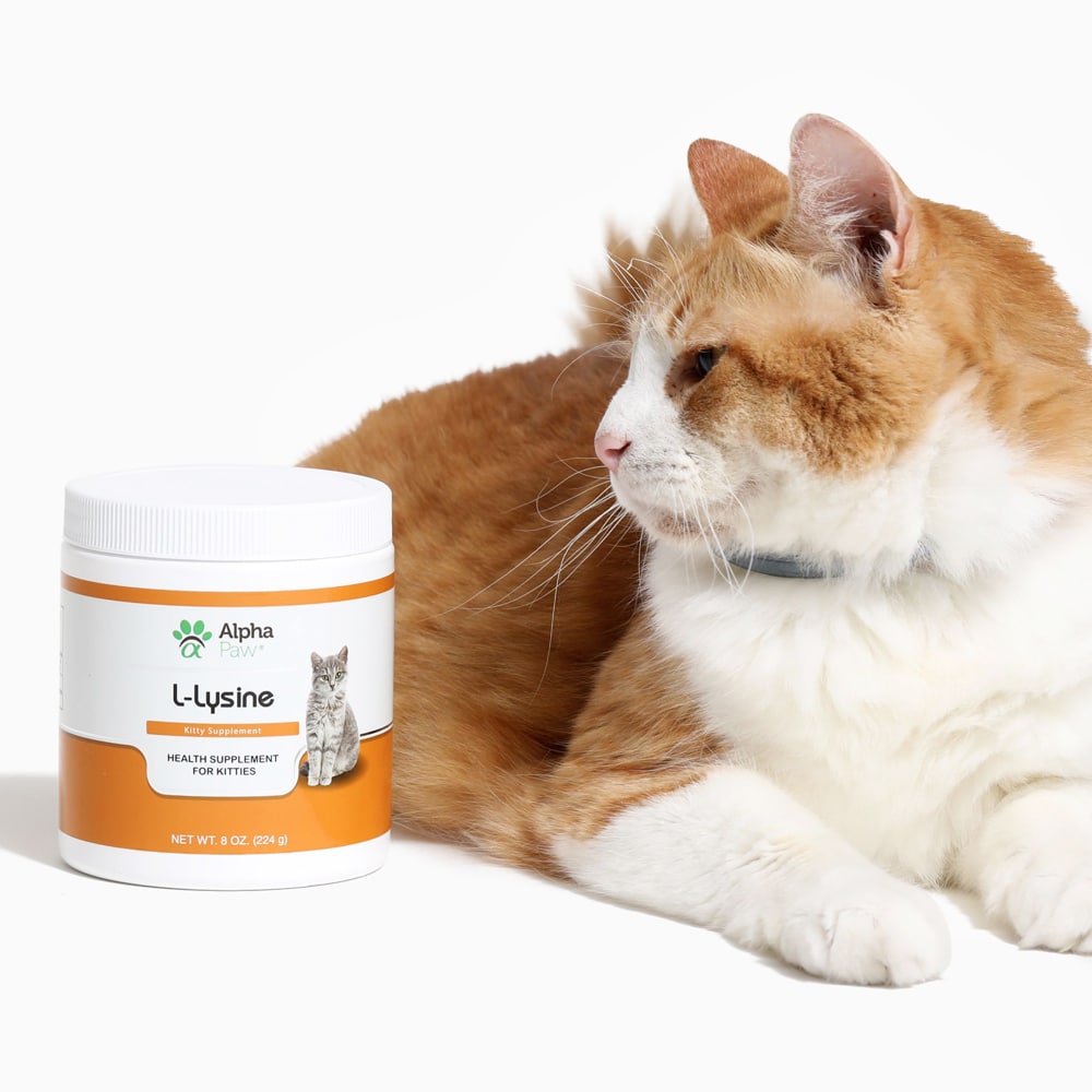 Cat LLysine Alpha Paw