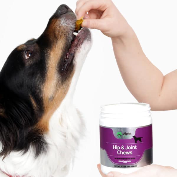 Hip And Joint Chews Alpha Paw 