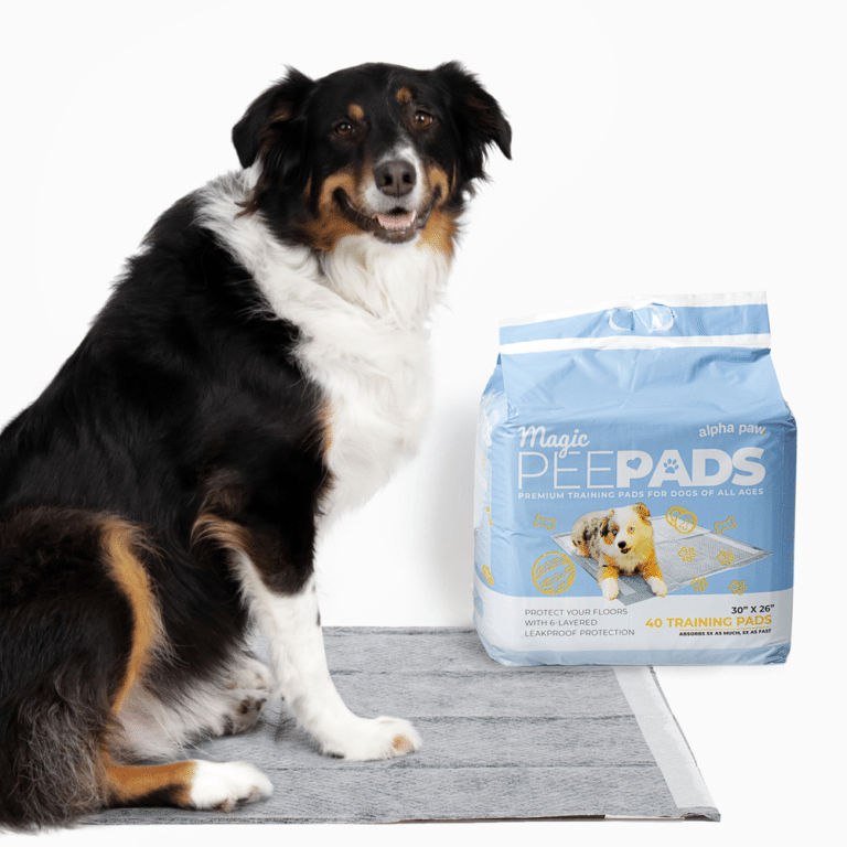 Magic Pee Pads XL Alpha Paw