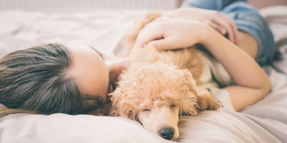 Need a cuddle buddy? Here's what you need to know about sleeping with your dog!