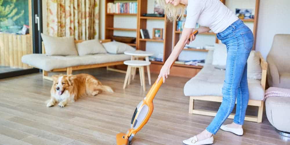 Does dust affect your pet dog