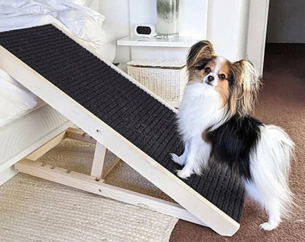 Video: 5 Reasons You Need A Dog Ramp