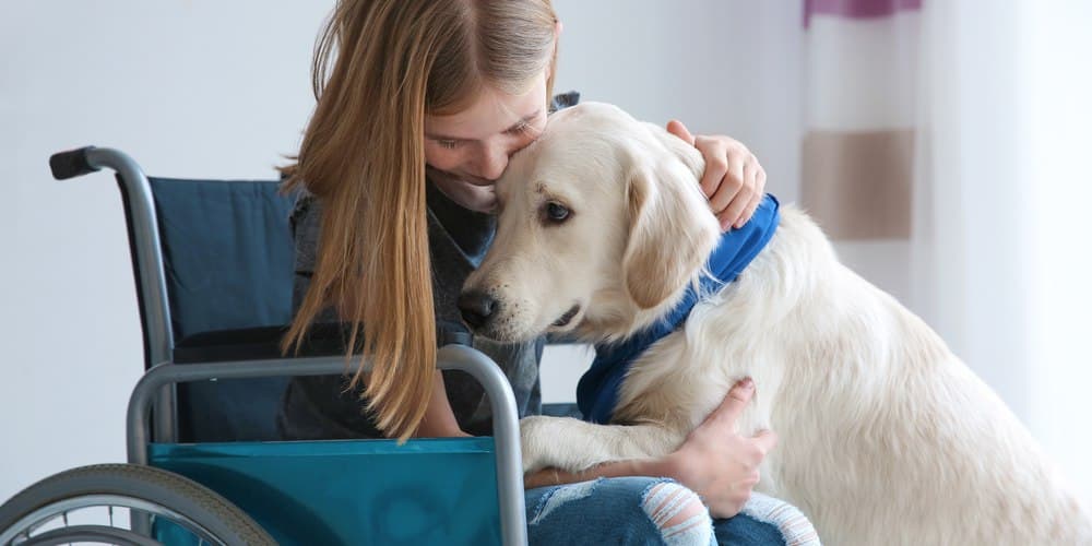 Why Do Dogs Make Great Service Animals?