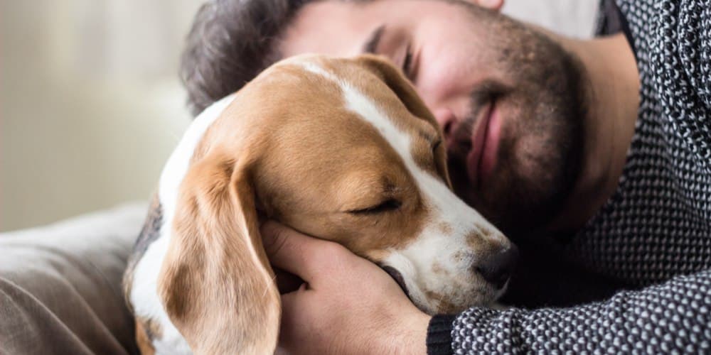 Can dogs tell when you’re sad?