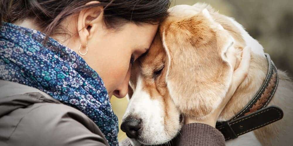Can dogs tell when you’re sad?
