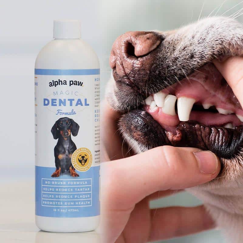 Magic Mouthwash for Dogs Alpha Paw