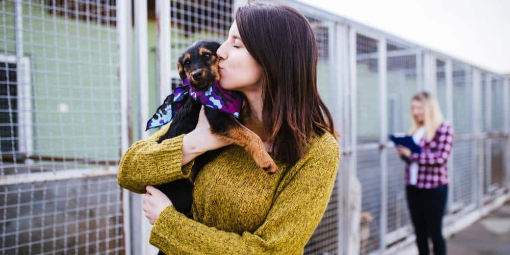 Why Kill-Shelters Deserve Your Love and Support