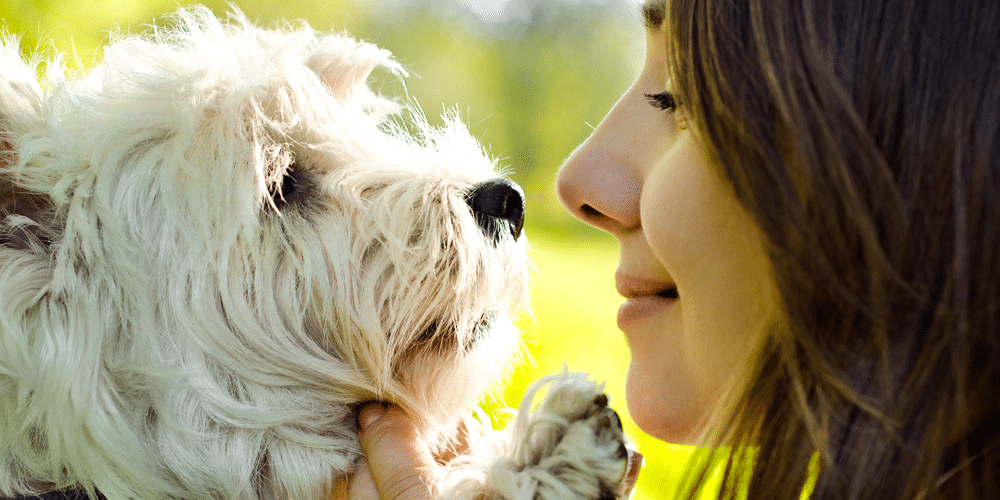 Face-to-face… with your pup, it might be a one-way street.