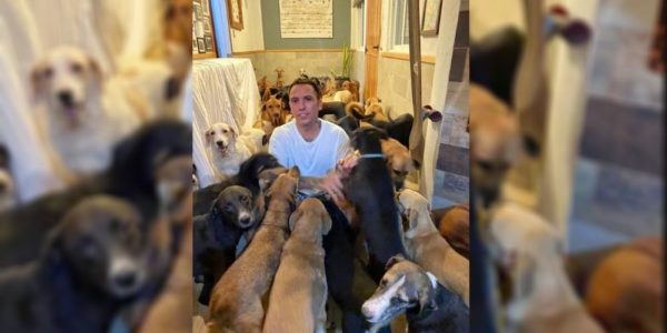 Man offers shelter to 300 dogs during a hurricane