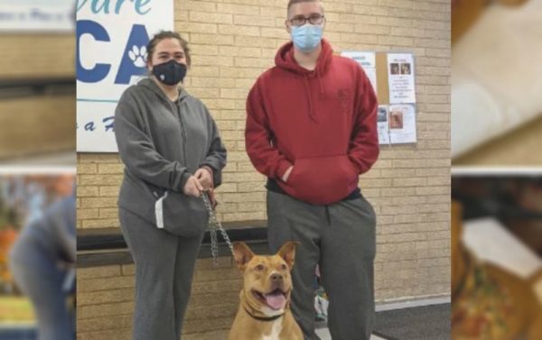 Delaware Dog Finally Gets Adopted After 866 Days in a Shelter!